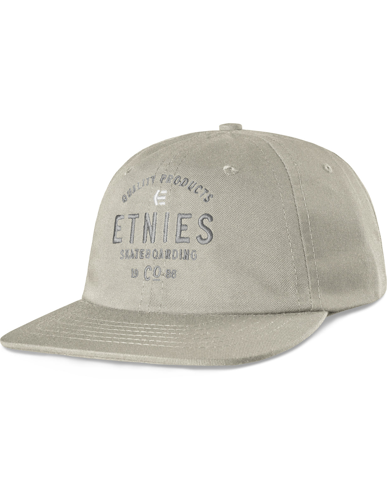 Etnies Skate Co Strapback Curved Peak Cap in Cement