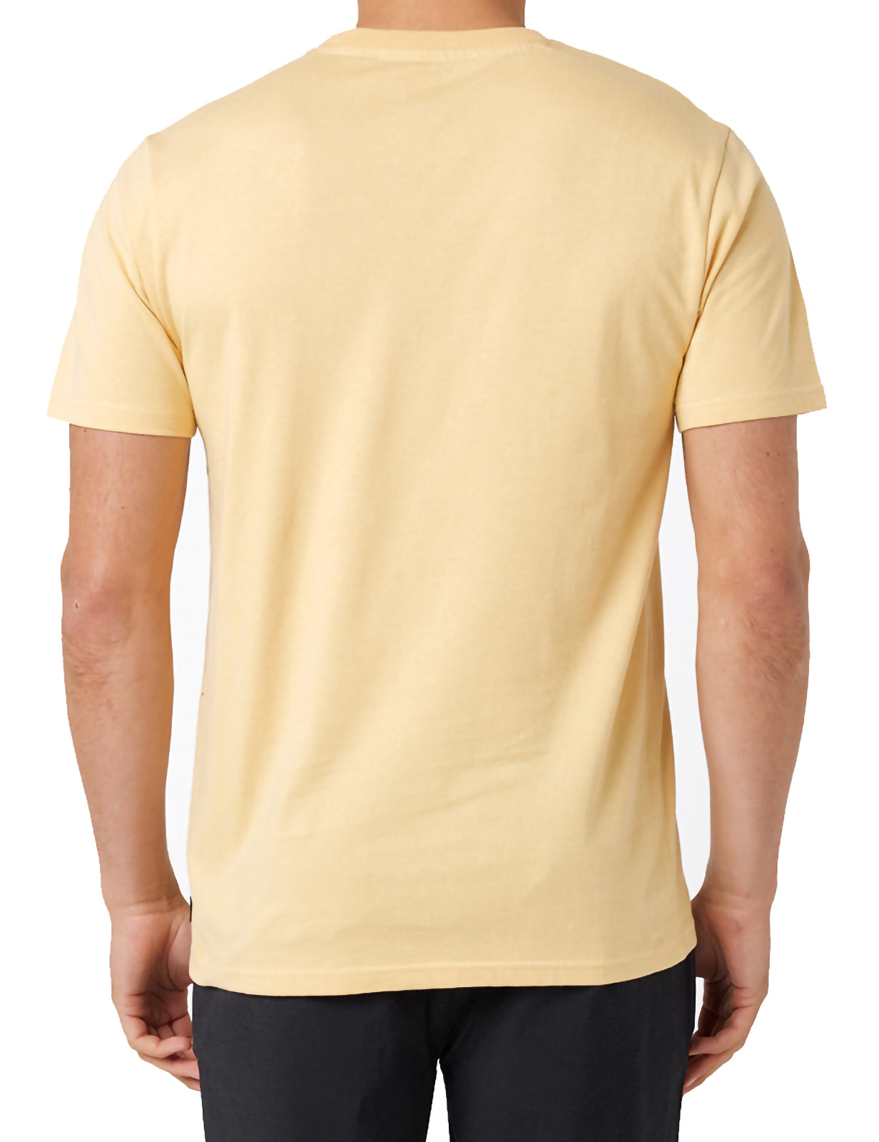 Rip Curl Badge Short Sleeve T-Shirt in Washed Yellow