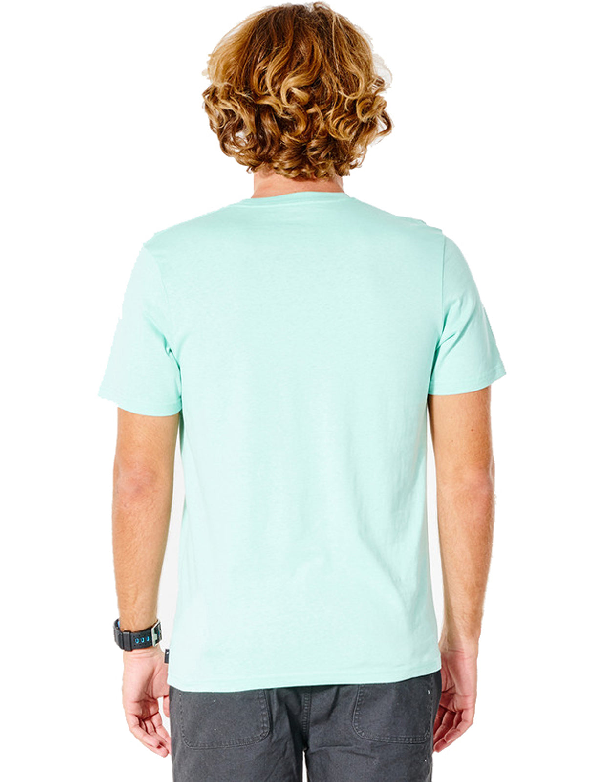 Rip Curl Big Mumma Icon Short Sleeve T-Shirt in Washed Aqua