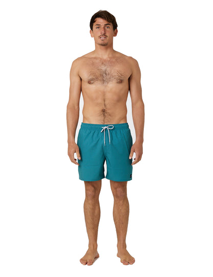 Rip Curl Daily Volley Elasticated Boardshorts in Washed Forrest