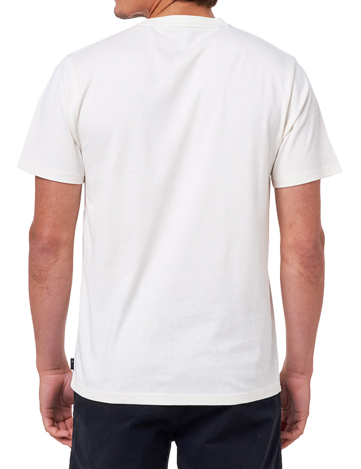 Rip Curl Down The Line Stripe Short Sleeve T-Shirt in Bone