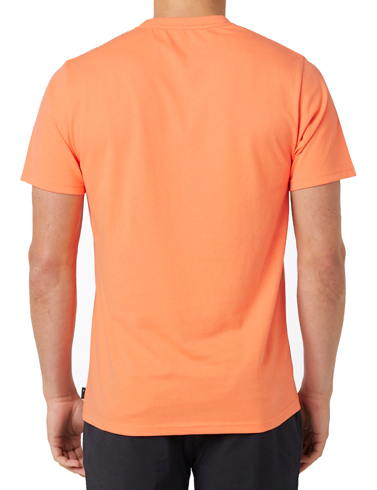 Rip Curl Framed Short Sleeve T-Shirt in Peach