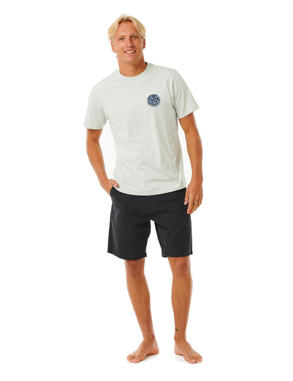 Rip Curl Wetsuit Icon Short Sleeve T-Shirt in Mint