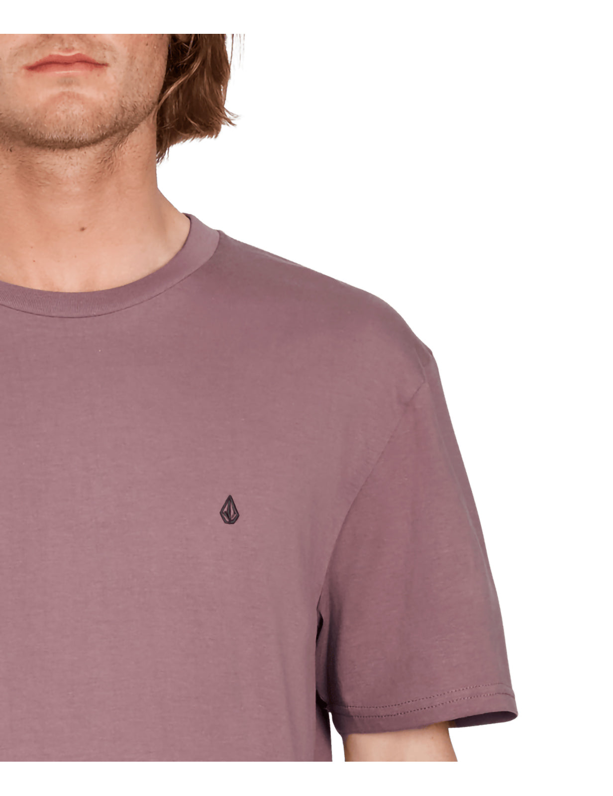 Volcom Stone Blanks Short Sleeve T-Shirt in Bordeaux Brown