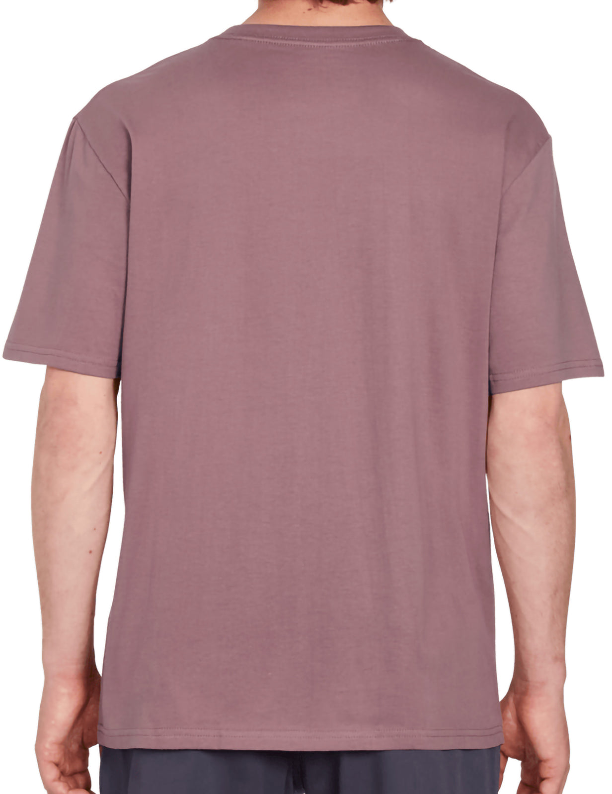 Volcom Stone Blanks Short Sleeve T-Shirt in Bordeaux Brown