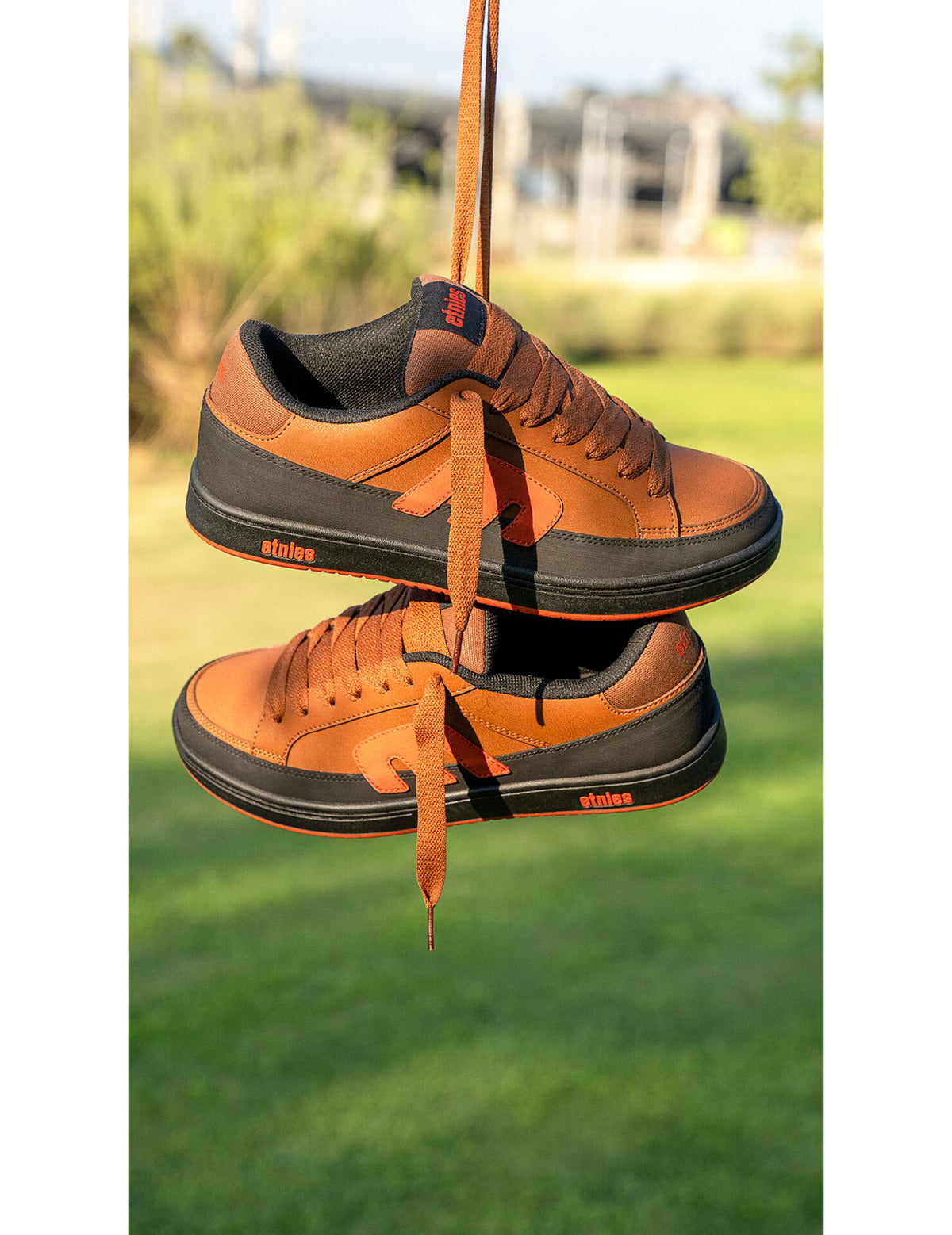 Etnies Kingpin 2K Trainers in Black/Brown
